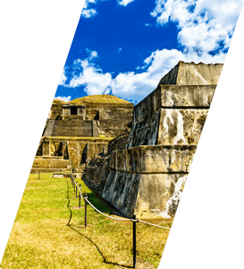 Design sem nome (3) (1)