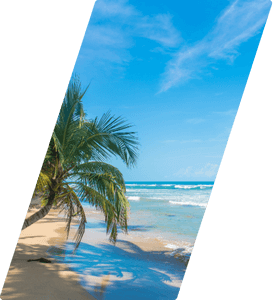 Design sem nome (5) (1)